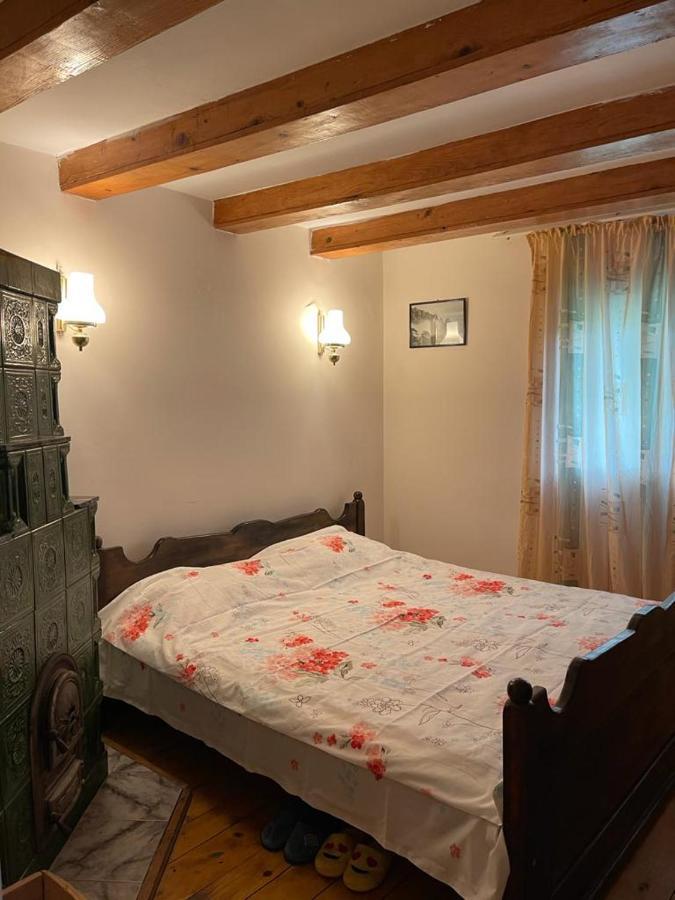 Casa Adelina Villa Valea Lunga-Cricov Buitenkant foto