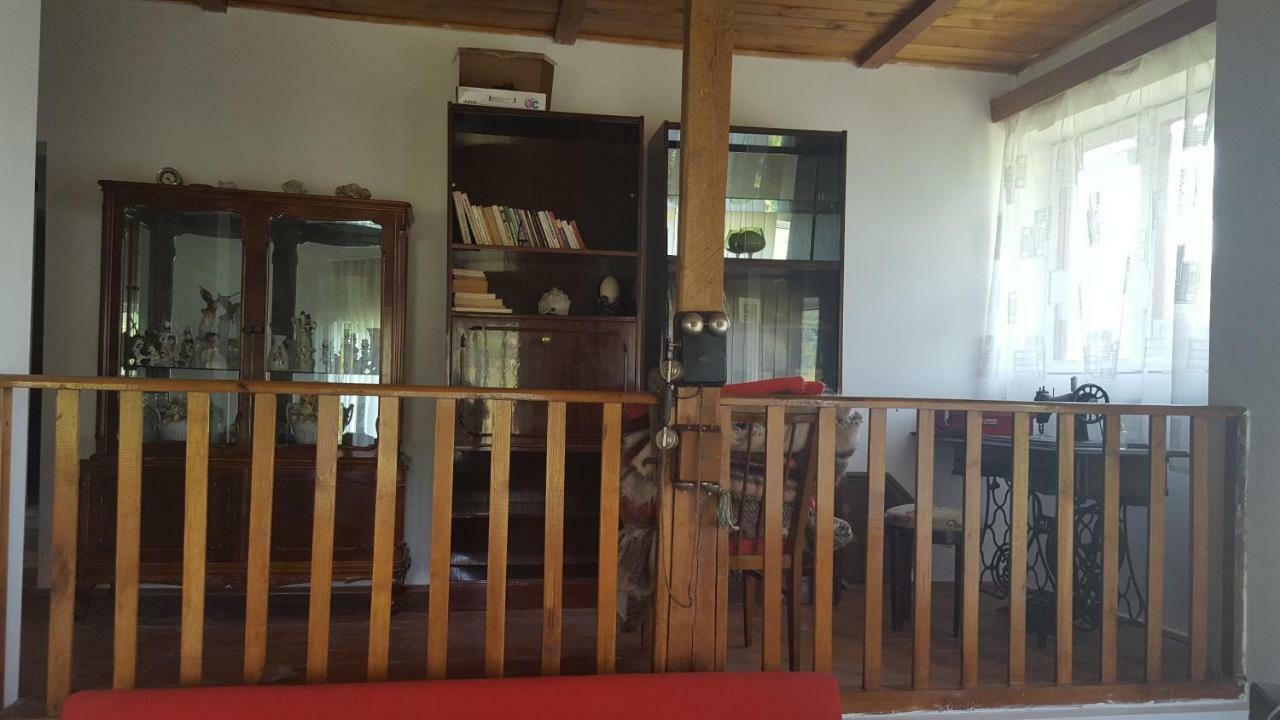 Casa Adelina Villa Valea Lunga-Cricov Buitenkant foto