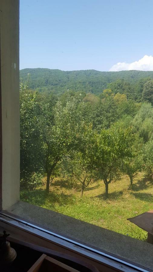 Casa Adelina Villa Valea Lunga-Cricov Buitenkant foto